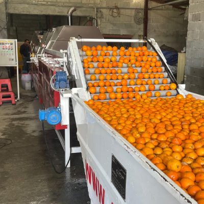 دستگاه سورتینگ پرتقال